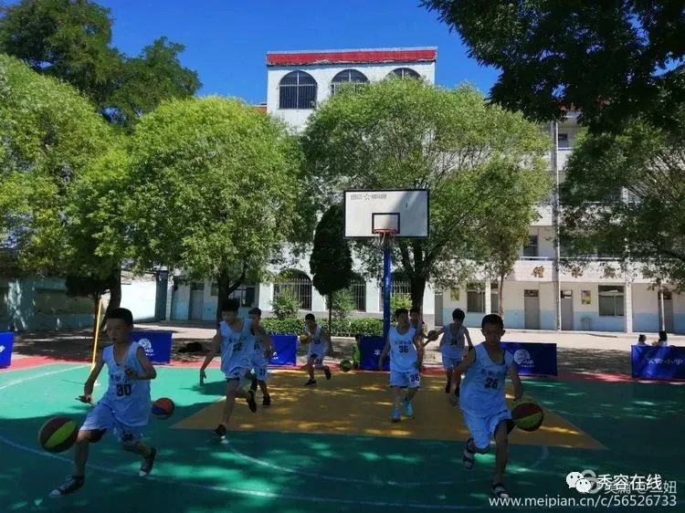 忻府区东街小学2020年植树节手抄报活动作品展-植树节手抄报比赛作品
