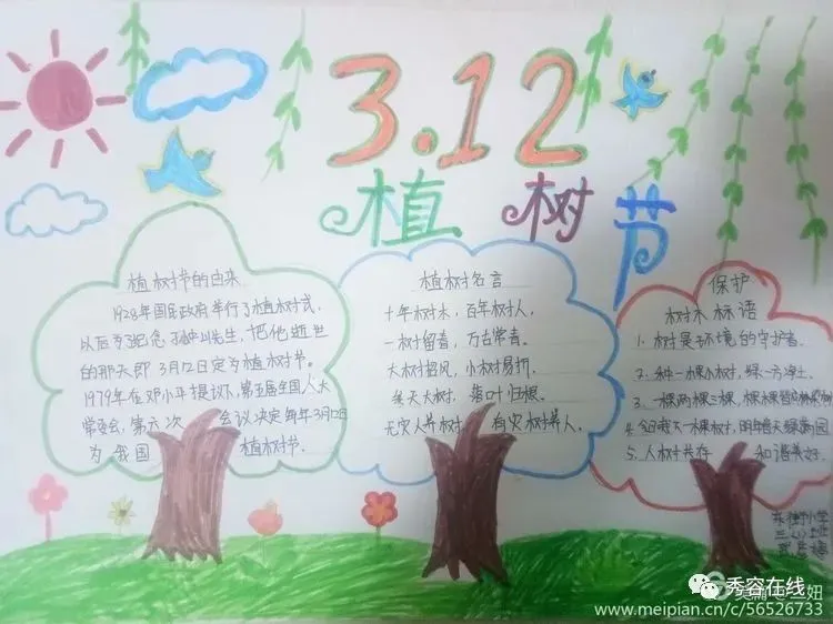 忻府区东街小学2020年植树节手抄报活动作品展-植树节手抄报比赛作品