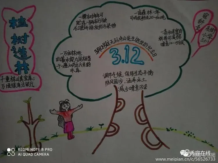 忻府区东街小学2020年植树节手抄报活动作品展-植树节手抄报比赛作品