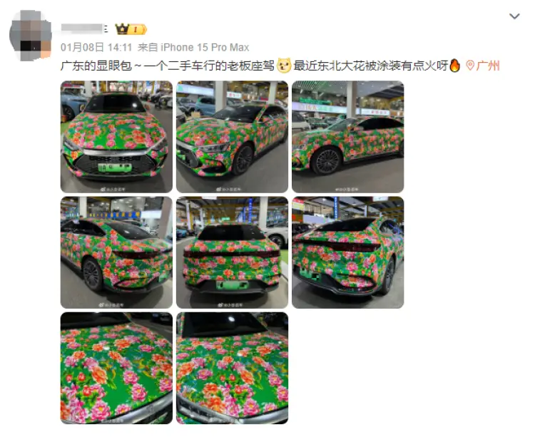 用在车身上，回头率拉满。/微博截图