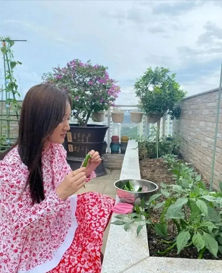 甜歌玉女杨钰莹顶楼种菜14年：拒接百万商务 曾卷入豪门走私案