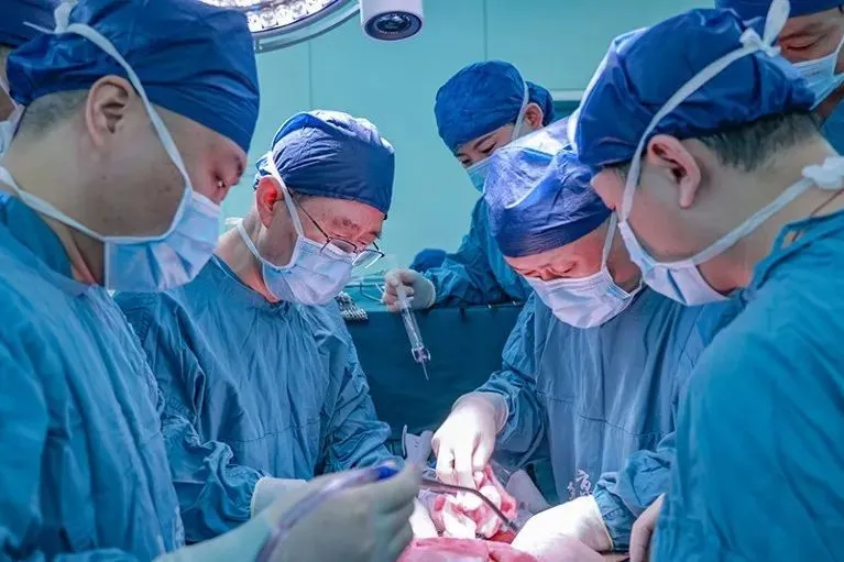 中国西安西京医院的外科医生完成了首例将非人源肝植入人体的手术。来源：中国西安空军军医大学西京医院