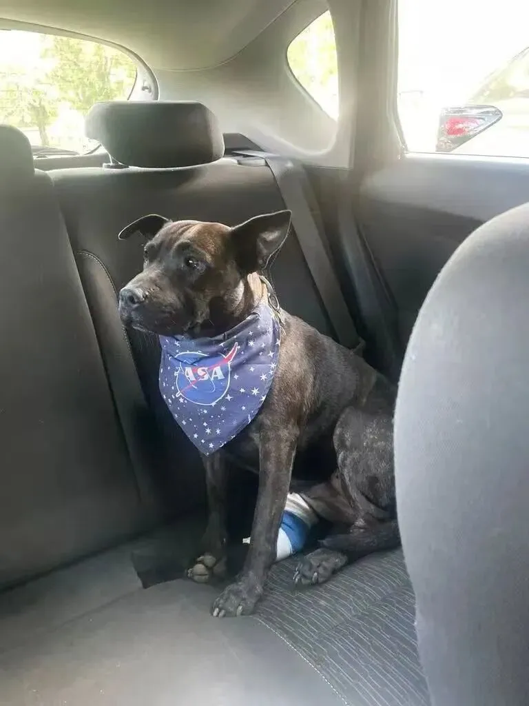 图片来源:保罗·康宁汉姆