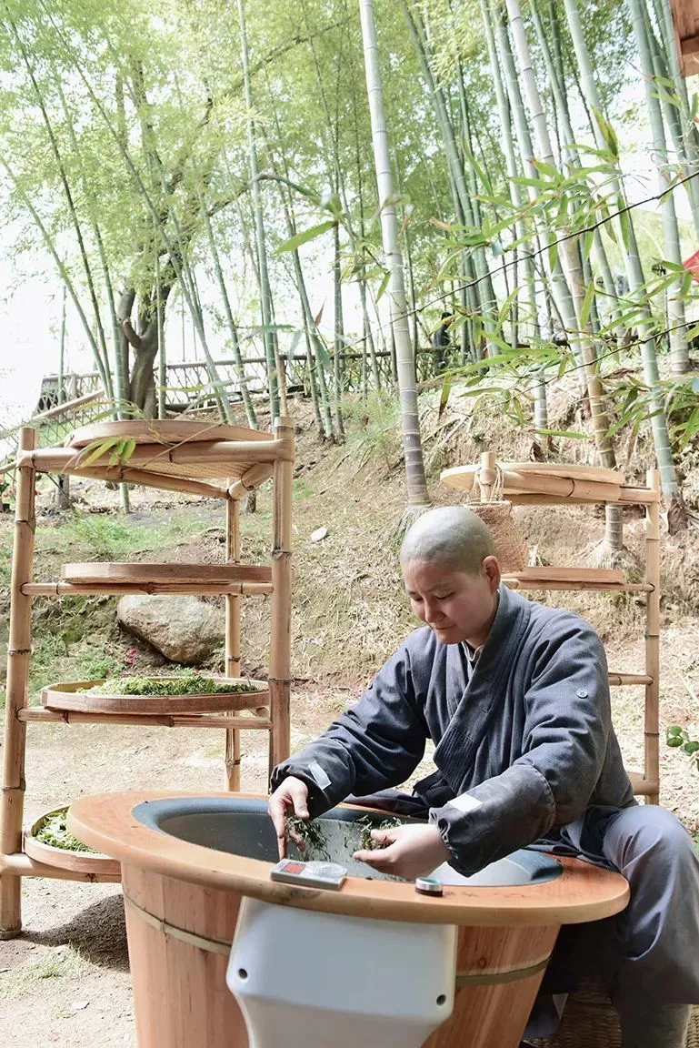 炒茶