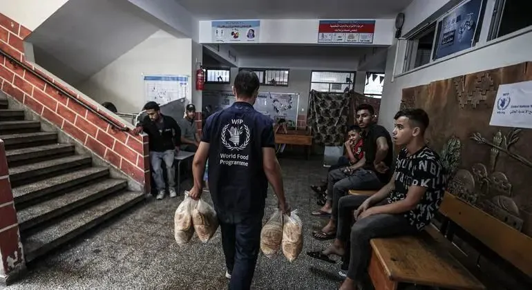 © 粮食署/Ali Jadallah | 粮食署在近东救济工程处在加沙开设的一所学校分发粮食，该学校是紧急情况下的指定庇护所。