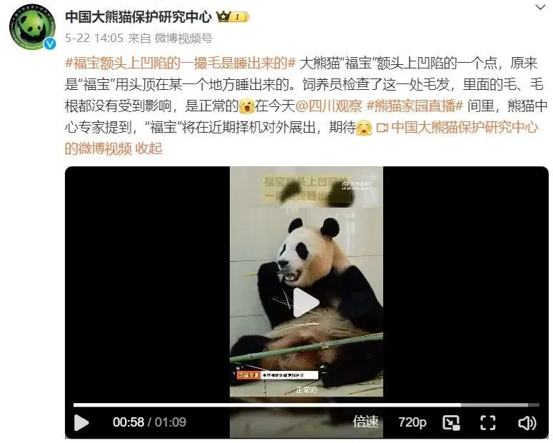 观察福宝每日视频可以发现，这个凹陷还会“改变位置和大小”，与网传说法不符。