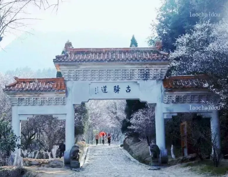 大余是哪个省的？已传疯，大余人都转起来！（大余县是江西哪里）