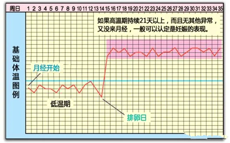 怎么知道自己怀孕了？怀孕后有哪些特殊表现？-如何知道自己怀孕啦