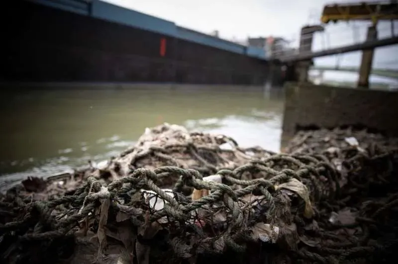 2023年，塞纳河上漂浮着垃圾