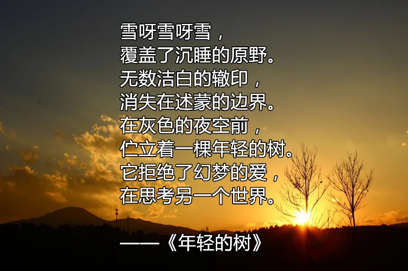 顾城最美的十首诗：怀念这位生于秋天，死于秋天的天才诗人(顾城写得好的诗)