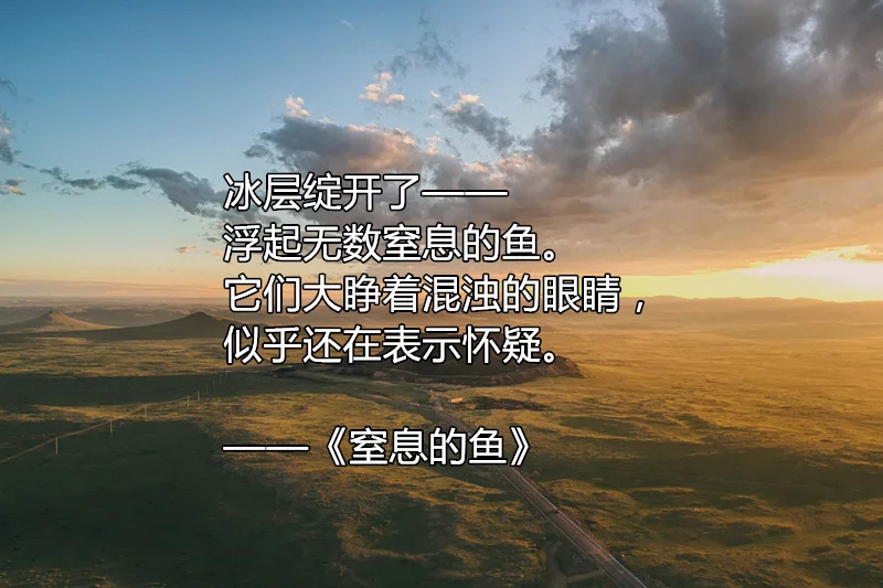 顾城最美的十首诗：怀念这位生于秋天，死于秋天的天才诗人(顾城写得好的诗)