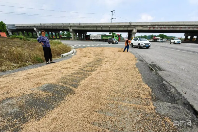 在驻马店市驿城区的公路上，农户正在晾晒小麦（央广网发 刘盼盼 摄）