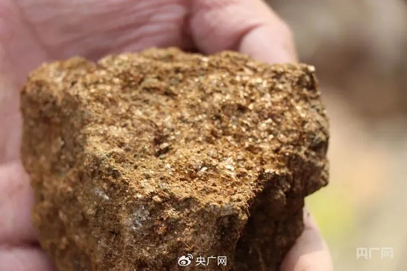 大连8岁男孩爬山发现金矿线索！后续来了