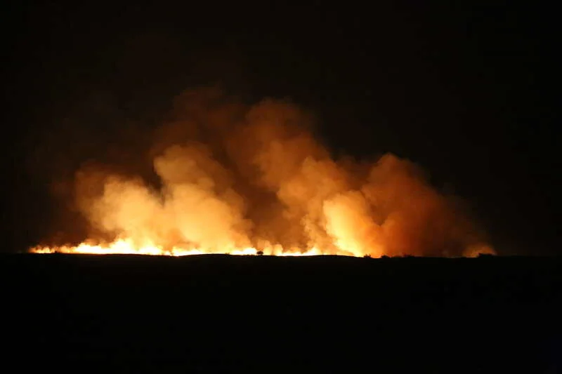 蒙古国草原火蔓延至呼伦贝尔市边境线 明火已被扑灭