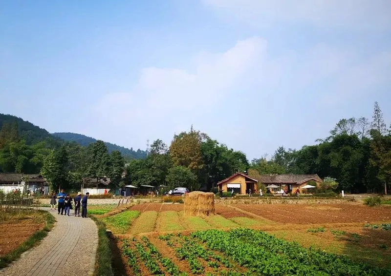 干货分享（归园田居原文）归园田居 陶渊明全诗 第4张