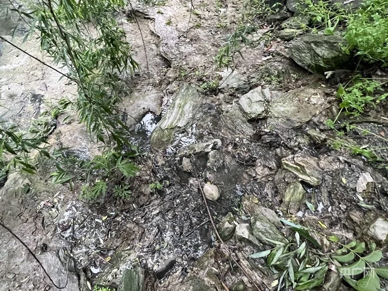 暗管里排出的污水黑如墨汁（记者 江晓晨 摄）