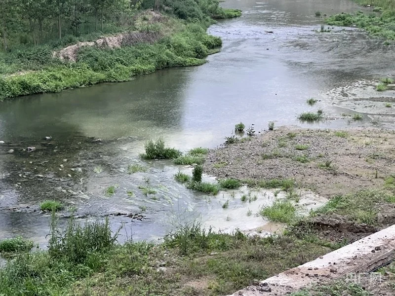 污水直排入泗河（记者 江晓晨 摄）