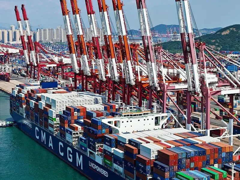 8月30日，在山东港口青岛港，“一带一路”国家的航线一派繁忙。