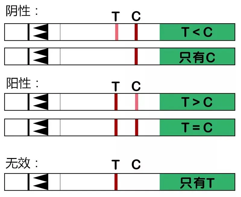 原创（苏打水如何用排卵试纸验孕）苏打水可以让验孕棒变两条线 第4张