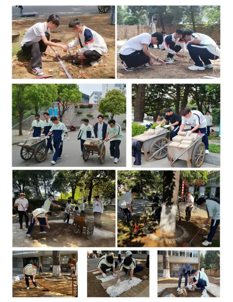 废料变地标！江苏建院学子爆改校园荒地，劳动教育玩出新花样