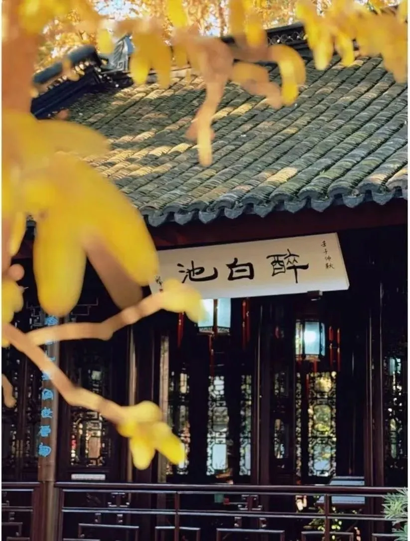 △豫园湖心亭夜景。（图/钱鸣 摄）