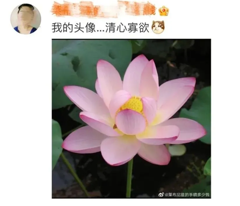 微信头像，还有这功能？-微信头像的讲究大有玄机