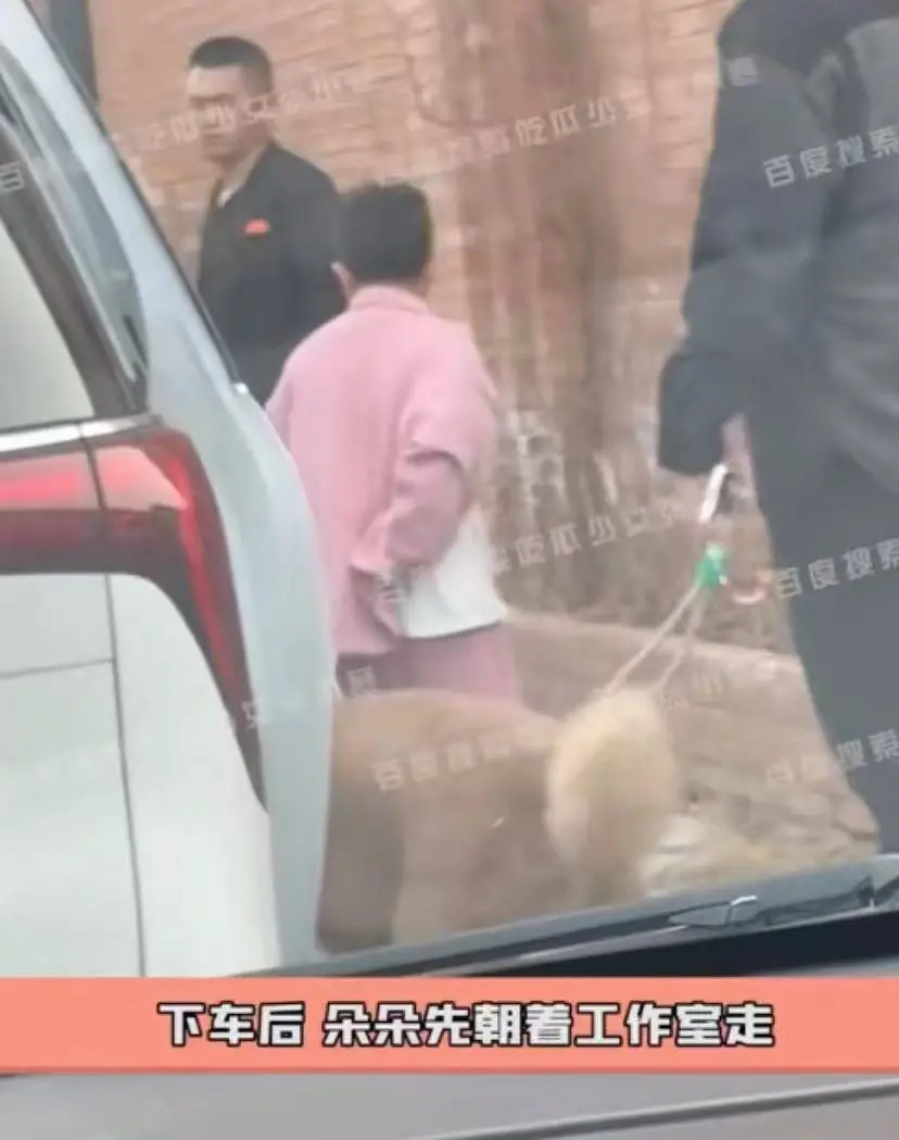 佟丽娅带儿子现身陈思诚工作室，离婚后关系维持不错，令人羡慕