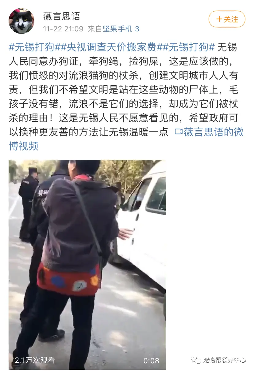 微笑狗事件死人了吗（微笑狗事件真的死人了吗） 第12张