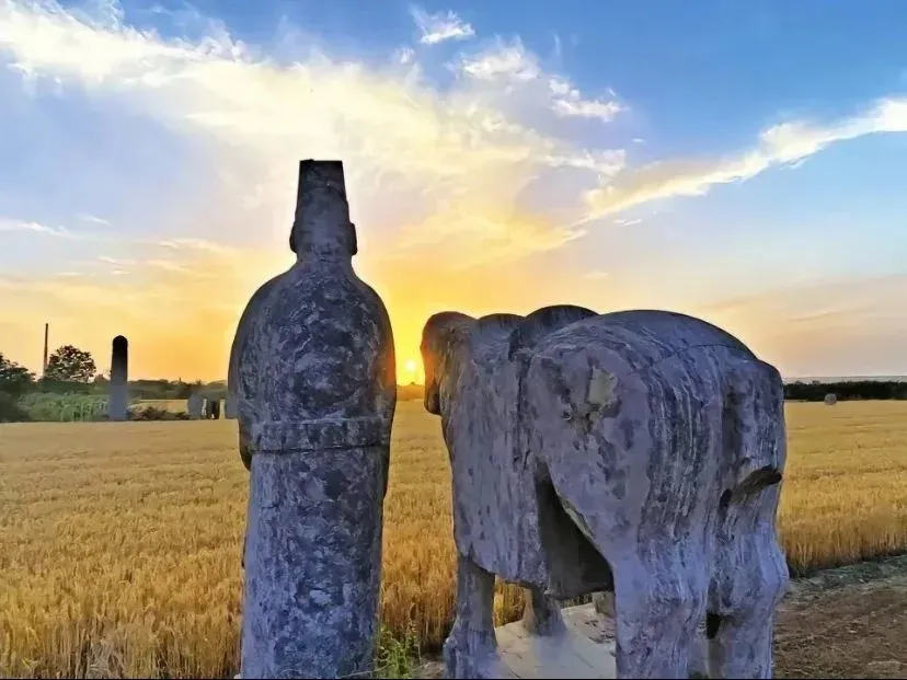 | 巩义宋陵麦田。图by小红书博主@巩义北宋皇陵