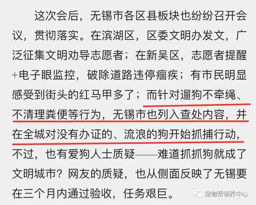 微笑狗事件死人了吗（微笑狗事件真的死人了吗） 第5张