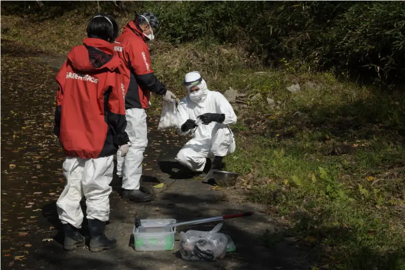 绿色和平组织Greenpeace辐射调查小组每年在福岛县进行放射性水平的实地调查，监测核电站事故后的公共卫生防护工作。图片来源：Greenpeace网站