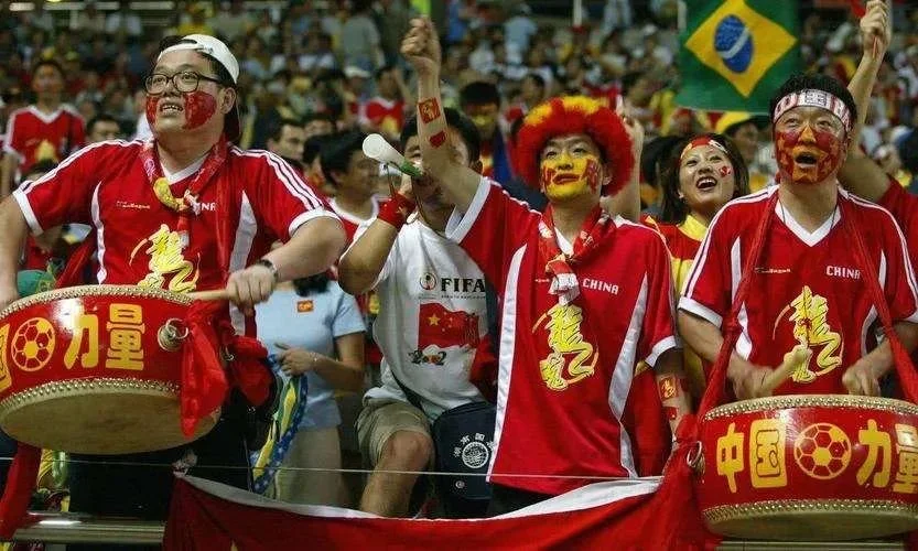 世界杯比赛现场的中国球迷