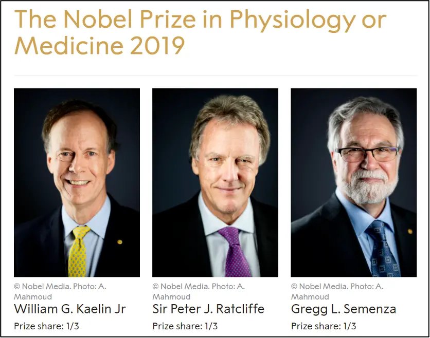 2019 诺贝尔生理学或医学奖获奖名单（塞门扎为右一）