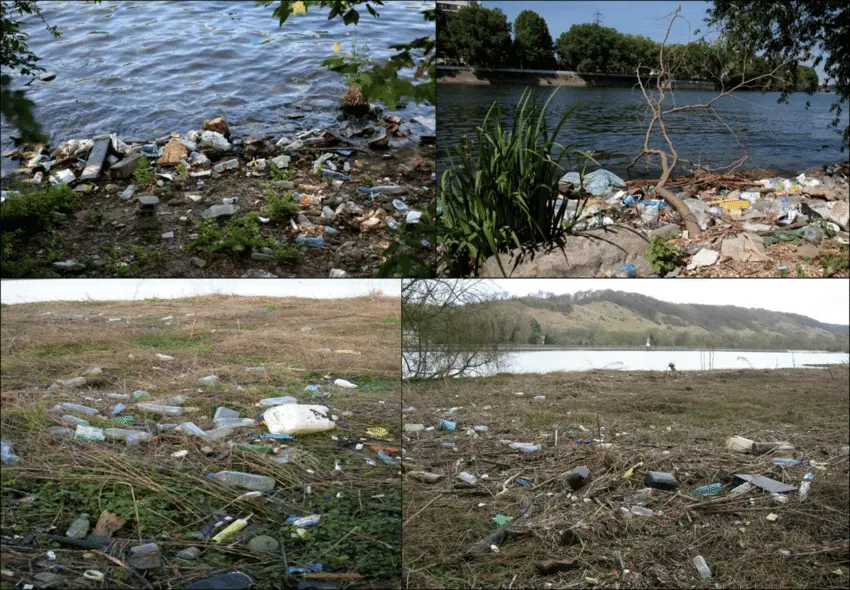 塞纳河岸边的塑料垃圾