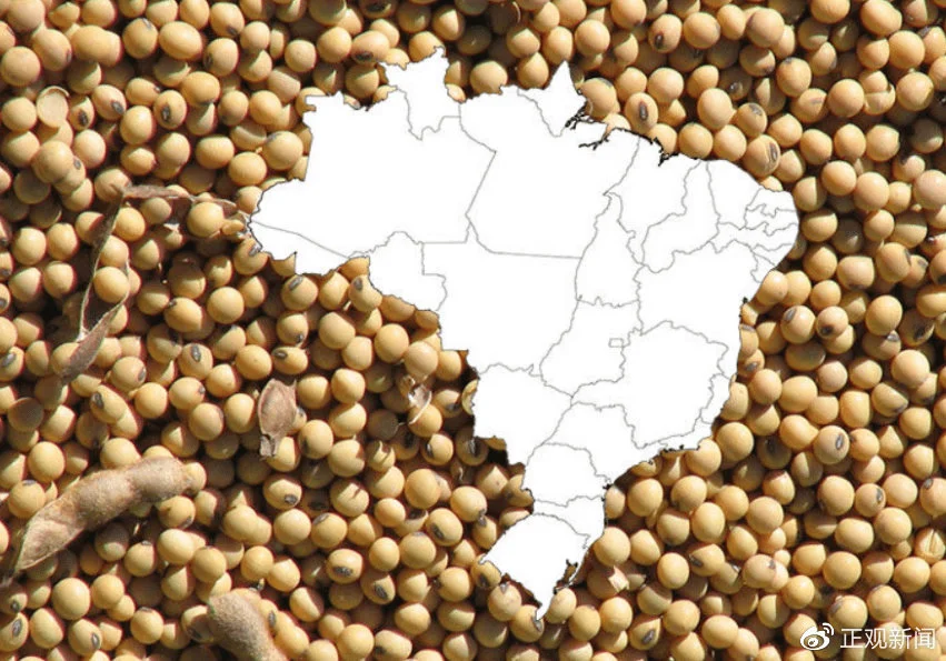 巴西是世界上主要的大豆生产国