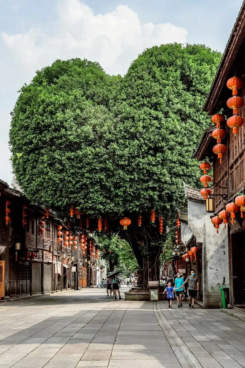 图片[5]-比泉州人少！比厦门文艺！这个几乎0存在感的省会城市，藏着最有烟火的慢生活~-华闻时空