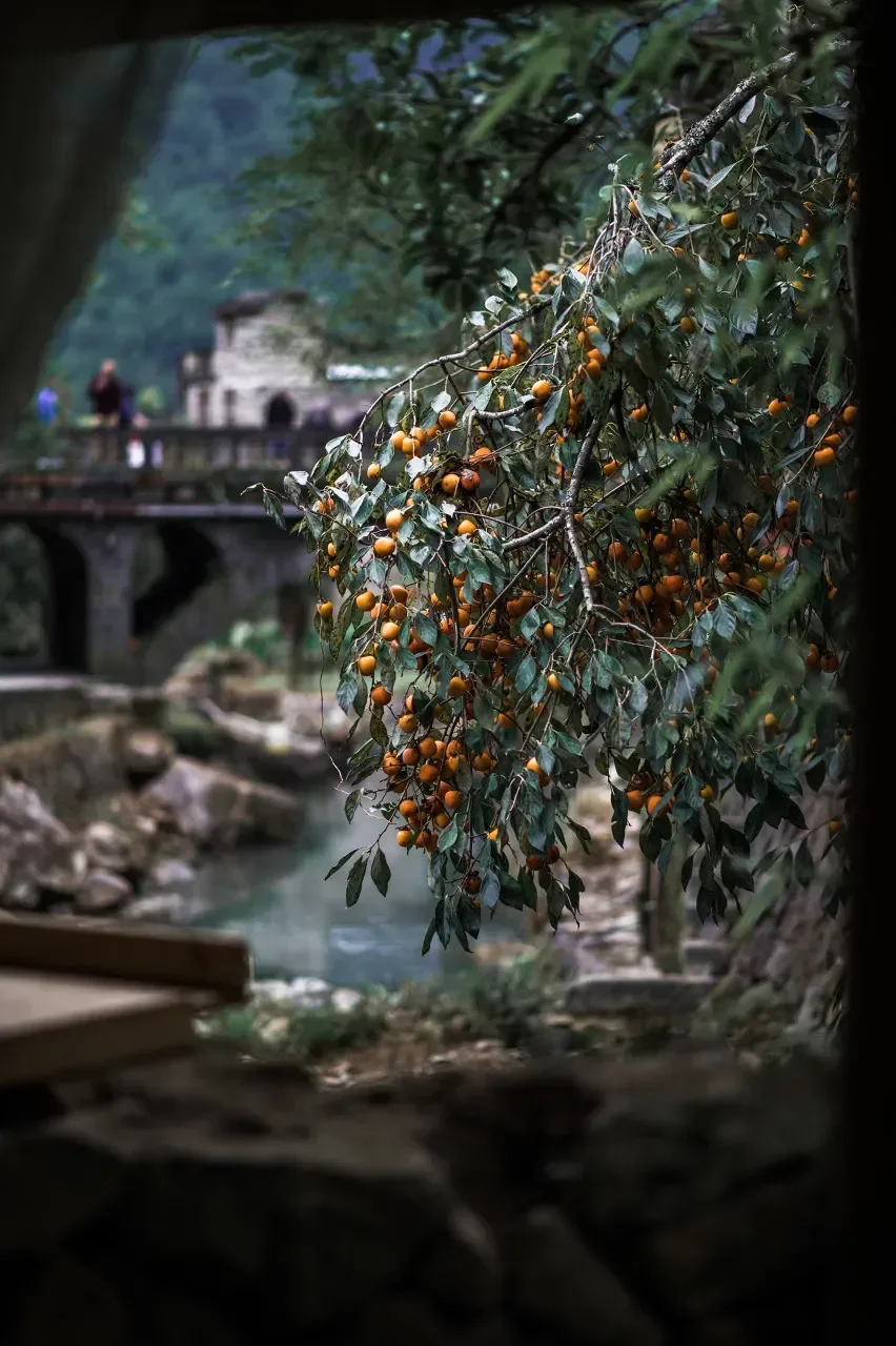 图片[7]-避开人潮！秋景不输婺源的绝美古村落-华闻时空