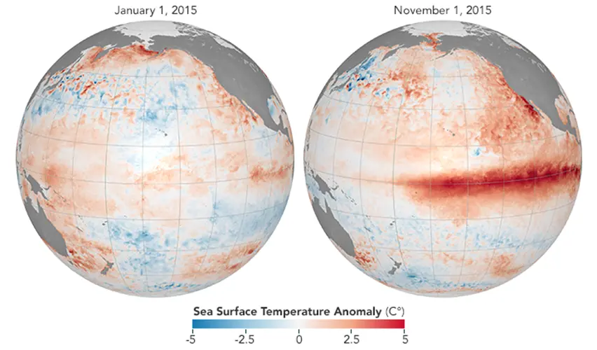 厄尔尼诺影响下太平洋海水表面温度异常（2015年1月与11月对比）｜NASA Earth Observatory