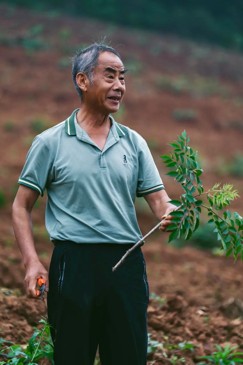 苏红星在田间地头忙碌