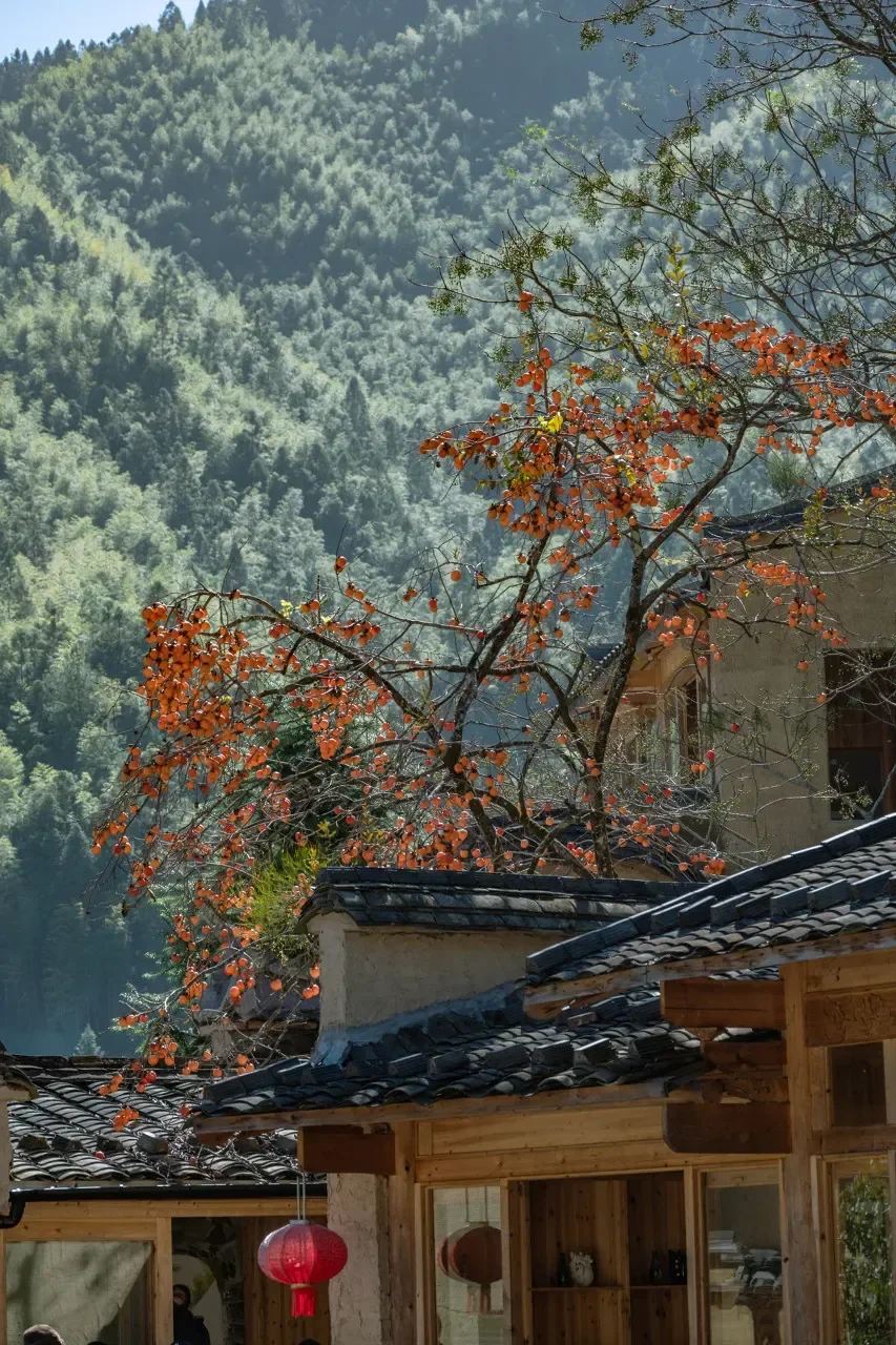 图片[10]-避开人潮！秋景不输婺源的绝美古村落-华闻时空