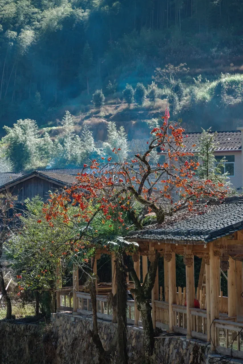 图片[9]-避开人潮！秋景不输婺源的绝美古村落-华闻时空