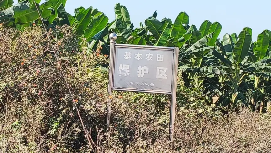 融通潼湖农场内竖立的标识牌。受访者供图