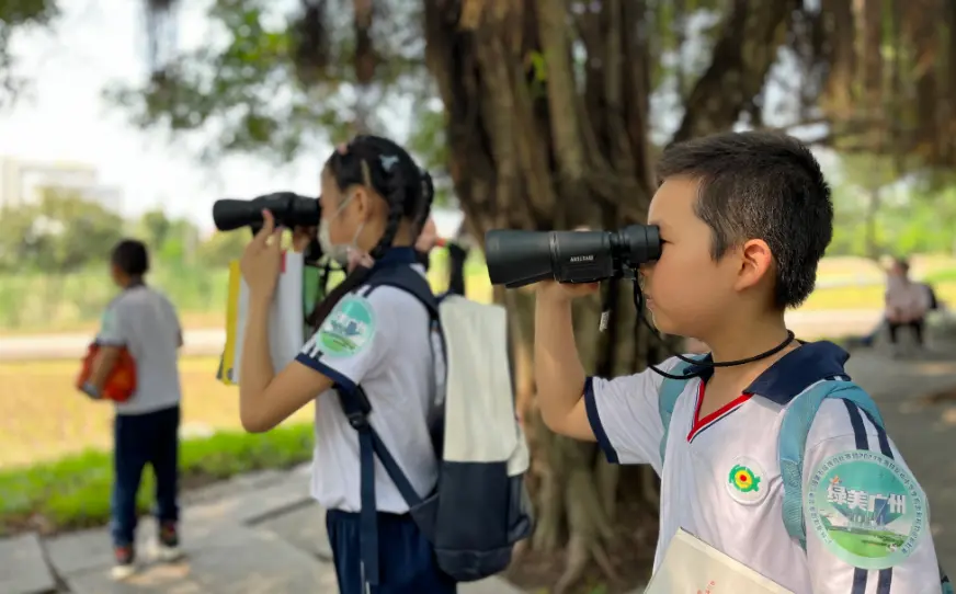 广州小学生进行课外活动