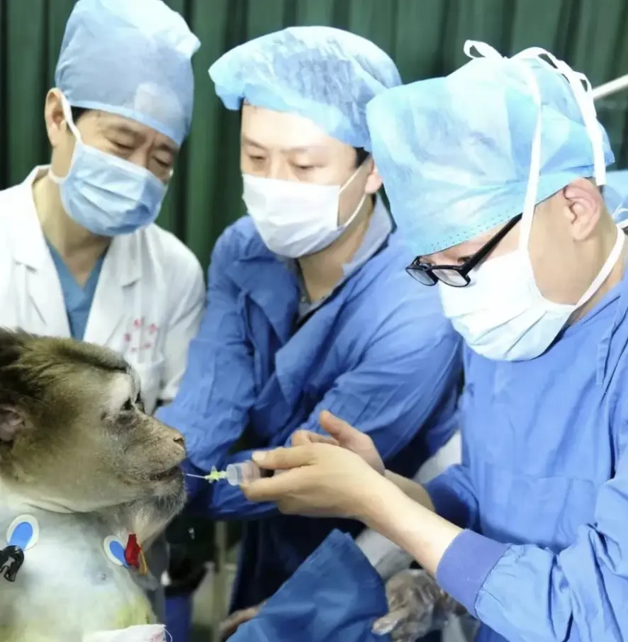 2013年，窦科峰（左一）带领团队完成首例猪—猴异种部分肝移植，图源：西京医院官方公众号