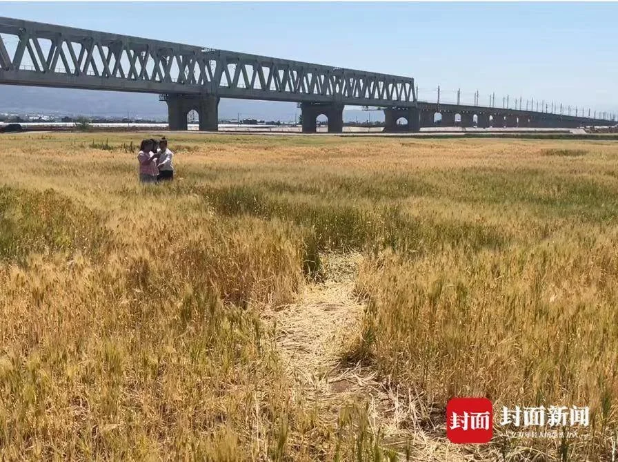 “去有风的地方”也别忘“脚下留情”(有你的地方就有风景800字作文初中)