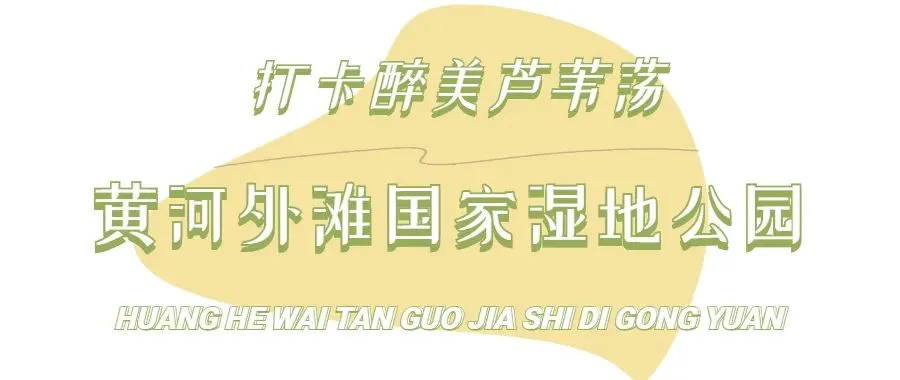 怎么可以错过（冷门但绝美的散文）冷门故事300 第11张