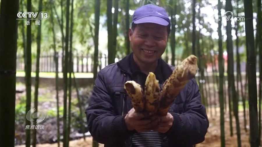 焦点访谈：预制菜 新“食”尚(6.14焦点访谈)