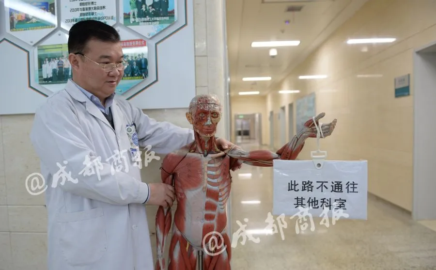硬核！华西医院的人体模型指路牌火了！医生回应：问厕所的人太多了…插图44