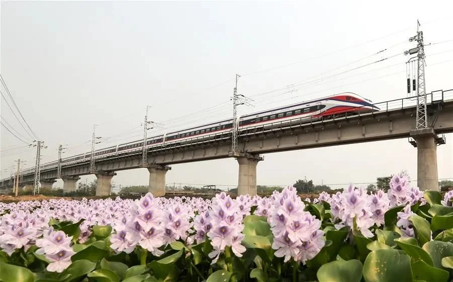 4月13日，从老挝万象站驶出的D888次列车行驶在云南省西双版纳州境内的中老铁路橄榄坝特大桥上 图：新华社