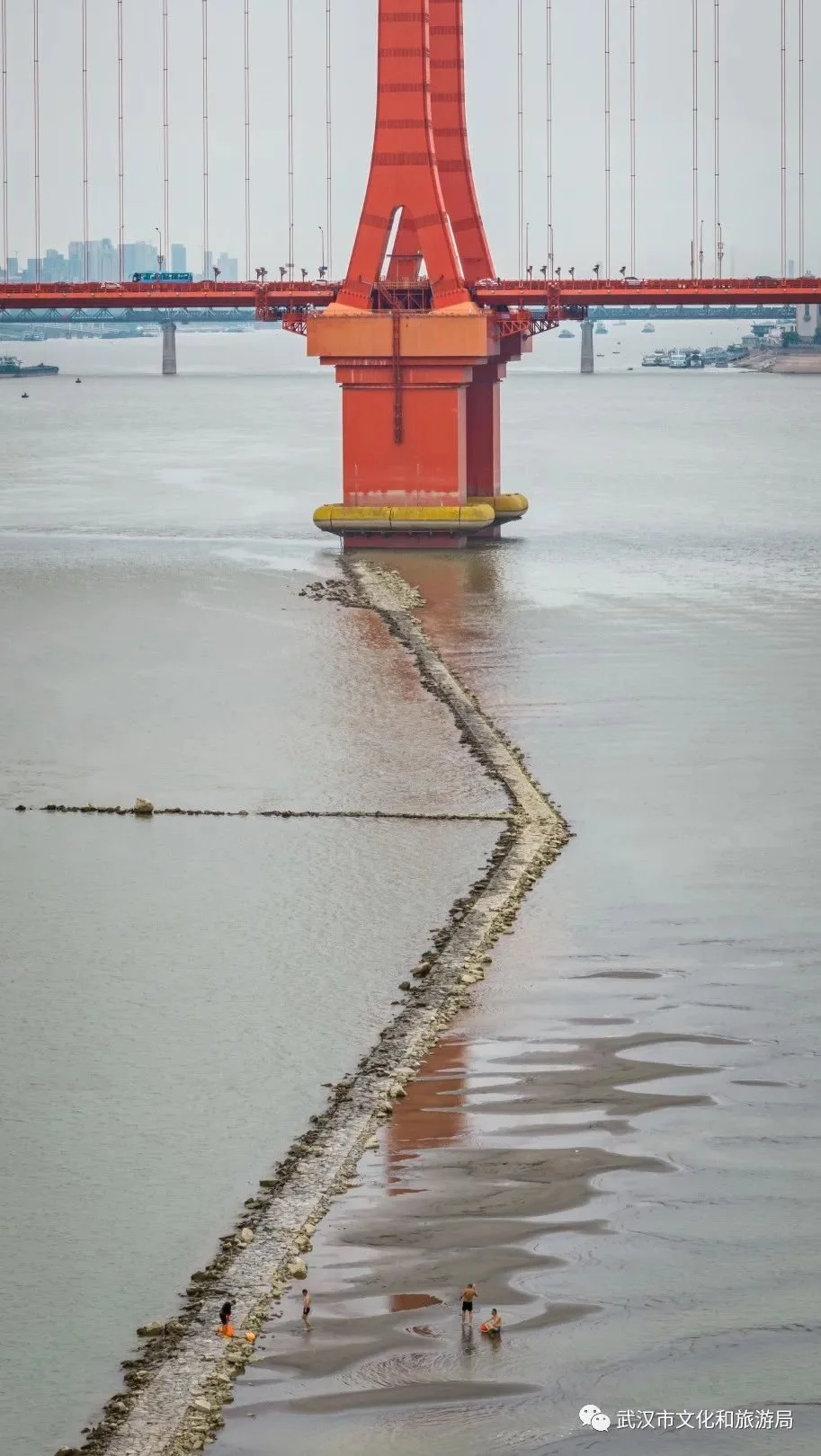 顺坝从鹦鹉洲大桥2号桥墩向上游延伸至杨泗港大桥附近，通过这一工程可以控制、归顺主流的流向，让靠近汉阳这边的河道水更深、更稳定，满足大型船舶通航需要。